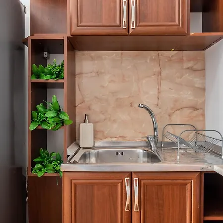 Unique With Pool And Sauna 公寓 瓦爾納